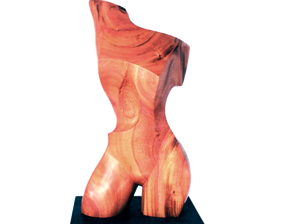 Torso por Renan Calvo